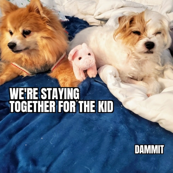 Loki LittleBear 2006-2020 (RSVP delayed shipments) - Picture 5 of 14